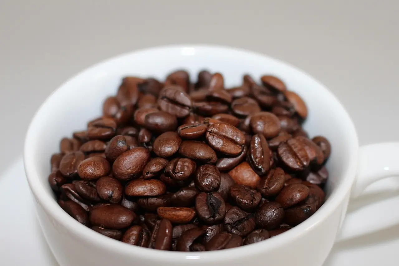 Guide: Sådan vælger du den rette kaffemaskine med kværn til dit hjem